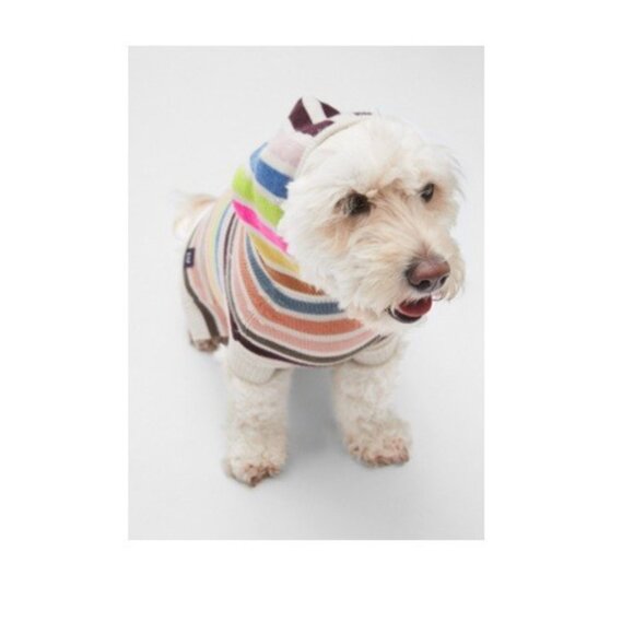 GAP Crazy Stripe Hoodie Knit Dog Sweater, Bright Multi-Color Stripes, XS/S - Picture 13 of 14